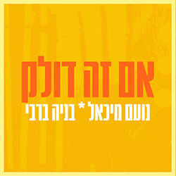  אם זה דולק