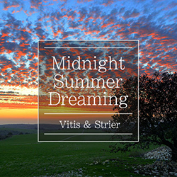  Midnight Summer Dreaming