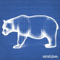  Ursidae