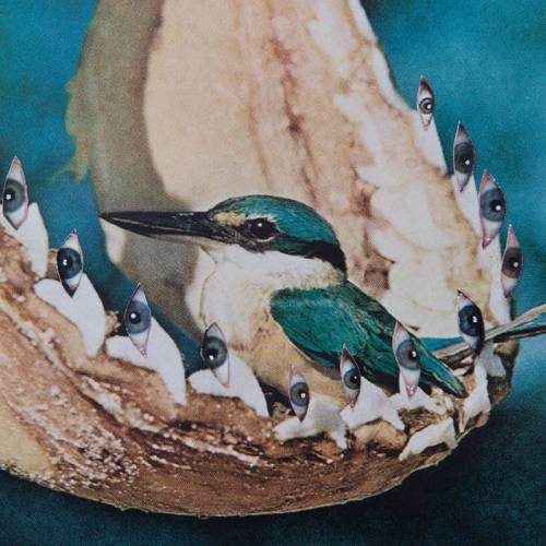  חיים קודמים