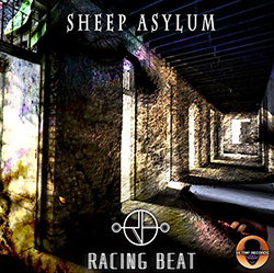  Sheep Asylum