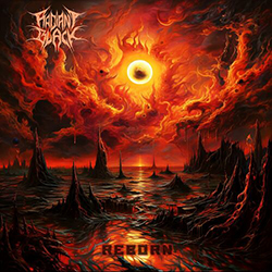  Reborn