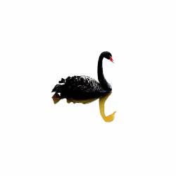  Neon Swans