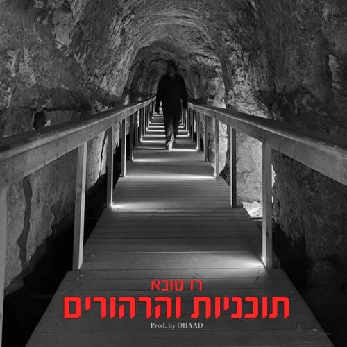 תוכניות והרהורים