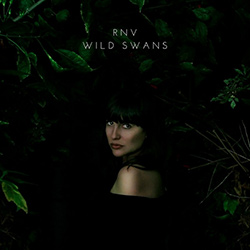  Wild Swans