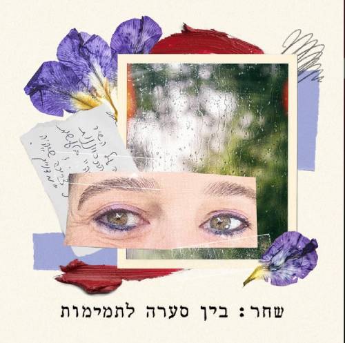  בין סערה לתמימות