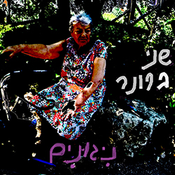  ניגונים