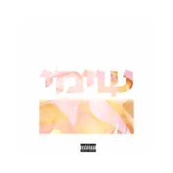  כותב צללים