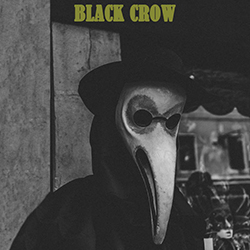  Black Crow
