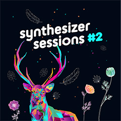  Synthesizer Session 2