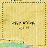  מנעולים קטנים