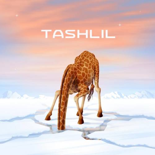  Tashlil