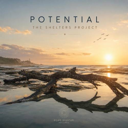 Potential