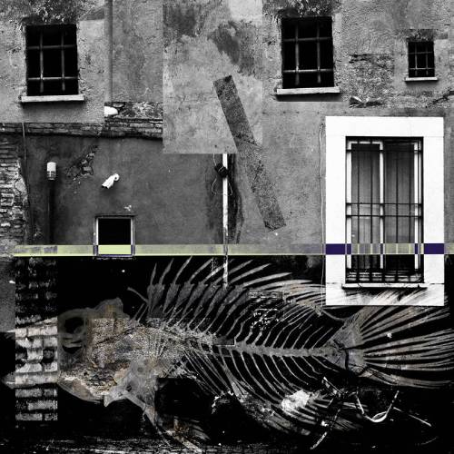  Live From The Yellow Submarine