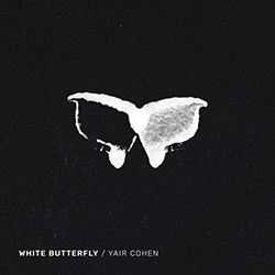  White Butterfly