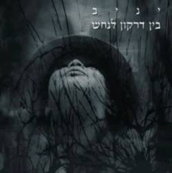  בין דרקון לנחש