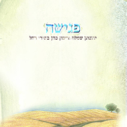  פגישה