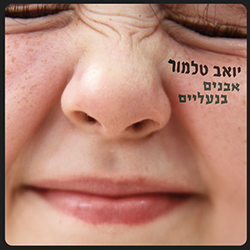  אבנים בנעליים