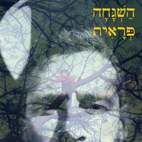  השגחה פראית