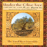  Under The Olive Tree