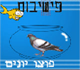  פוצו יונים