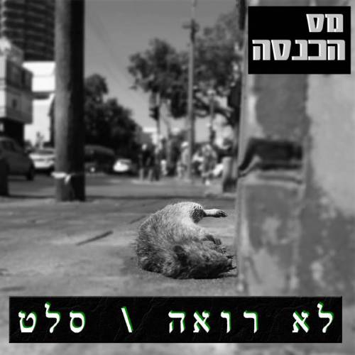  לא רואה \ סלט