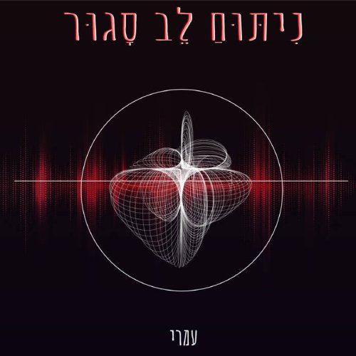  ניתוח לב סגור