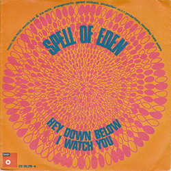 Hey Down Below / I Watch You