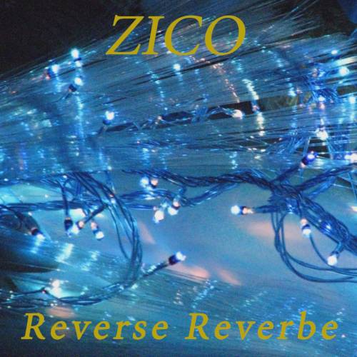 Reverse Reverbe